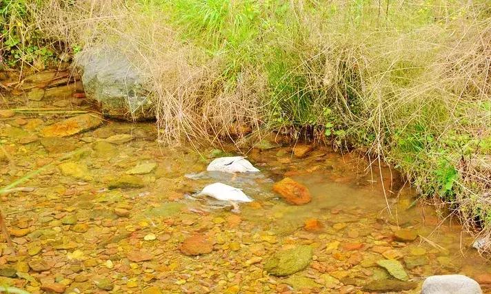 公盂山香格里拉,江南香格里拉公盂村