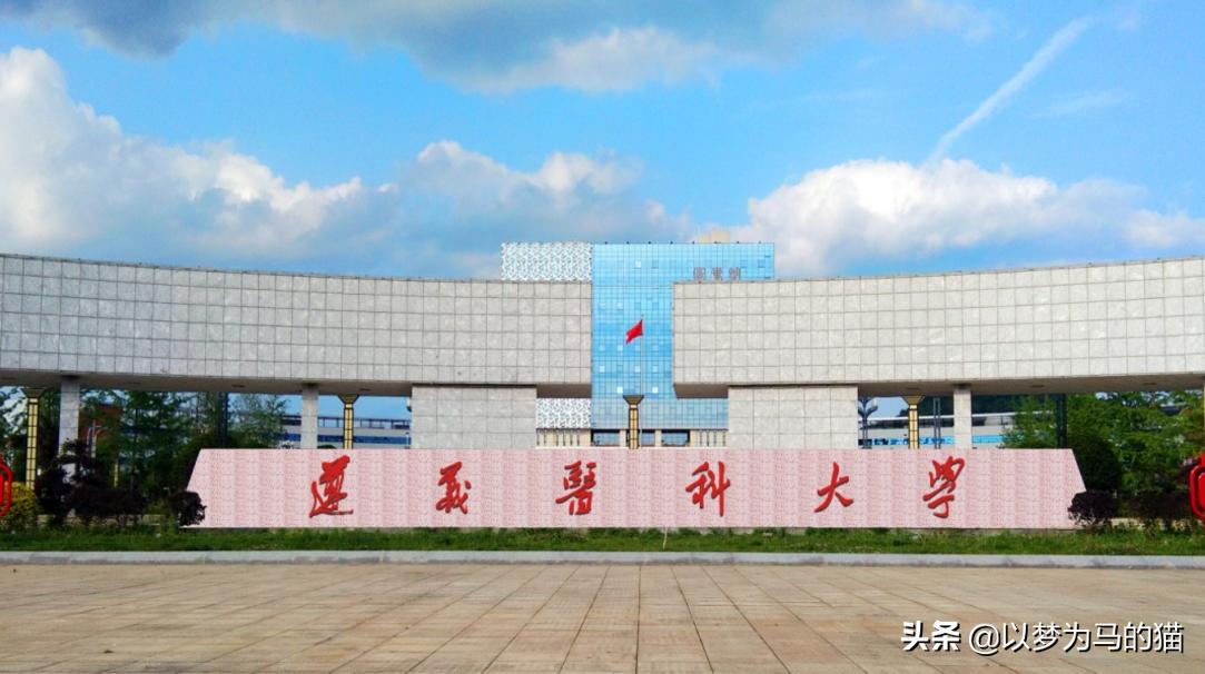 这9个“医科大学”的临床医学专业实力强，报考难度小，就业率高