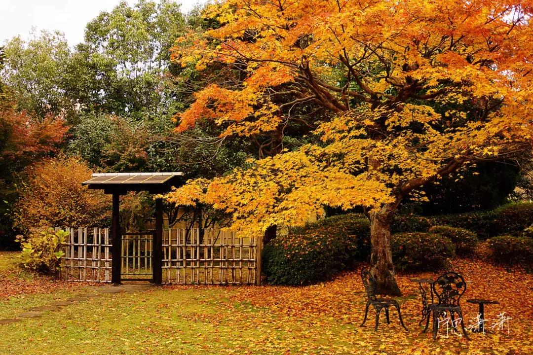 手把手教你成为摄影师,一步步教你做视频剪辑师