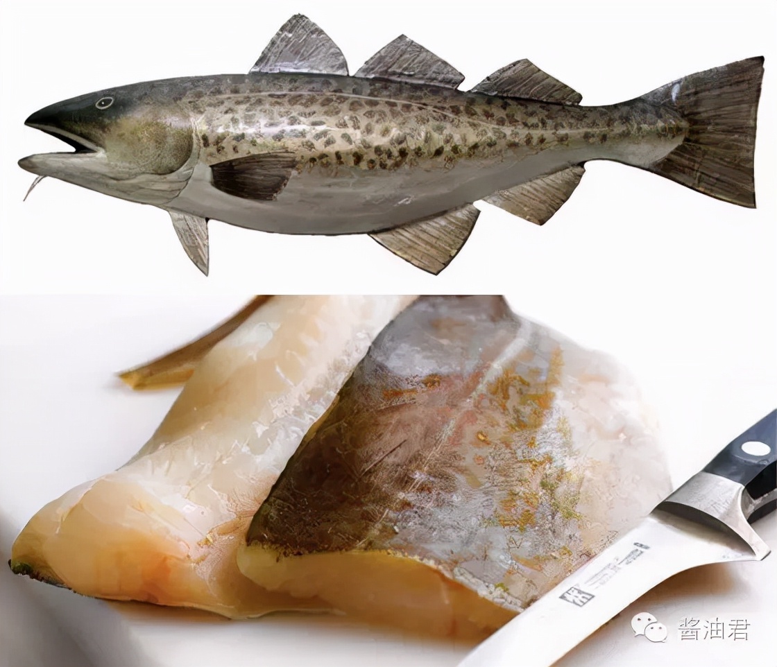 欧洲超市的鱼是活的吗,欧洲超市常见海鲜