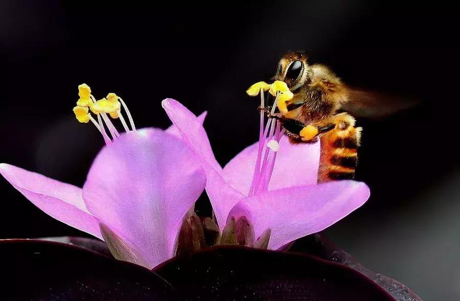 如何当好一名幼师,怎么才能当一名优秀的幼师