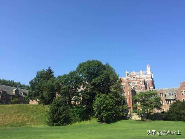 对老师不认可怎么办,对教育机构的老师不满意