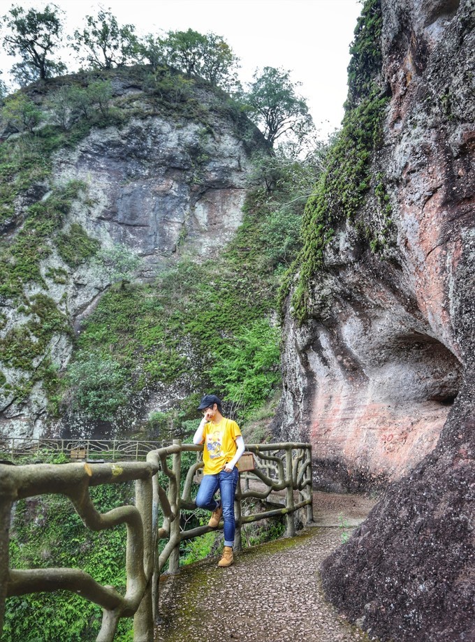 梅州采茶,梅州采茶体验