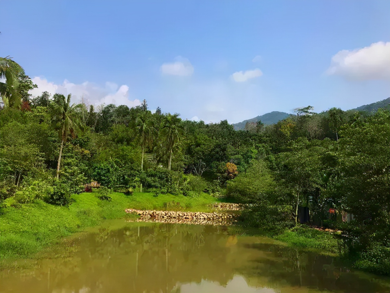 为什么就是离不开保亭？3大理由够不够