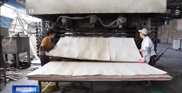 苏北第一县级市沭阳,苏北第一大县沭阳