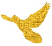 蹇棯甯堢敓鍚堜綔,蹇棯鏍″洯瑙嗛澶у叏鐕冪垎闇囨捈