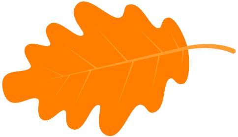 致同学们的一封信四年级,致同学们的一封信柳河县