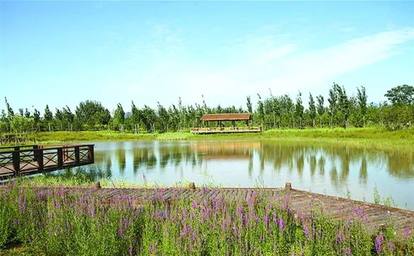 好山好水好地方祖国山河多壮美,好山好水好地方完整版于文华