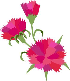 全莱州的女王女神都来了！停车一定免费、万向轮行李箱也一定免费……