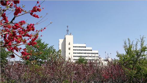 好玩不一定能玩儿童玩具为何频频上演“问题总动员”