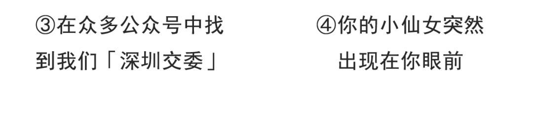 深圳迪拜飞机航线,深圳直飞迪拜航班有哪些