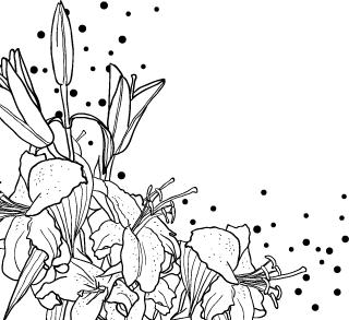 中国历史地理蓝勇,蓝勇西南历史