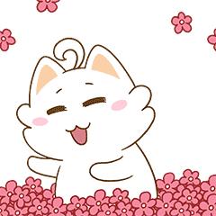 对不起我要去西安了,东兴还能去吗