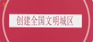 重庆九龙坡区篮球特色学校,重庆大足前十名重点小学