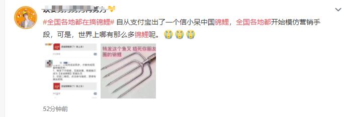 关于锦鲤的骗局有哪些呢,朋友圈锦鲤被曝光多人已上当