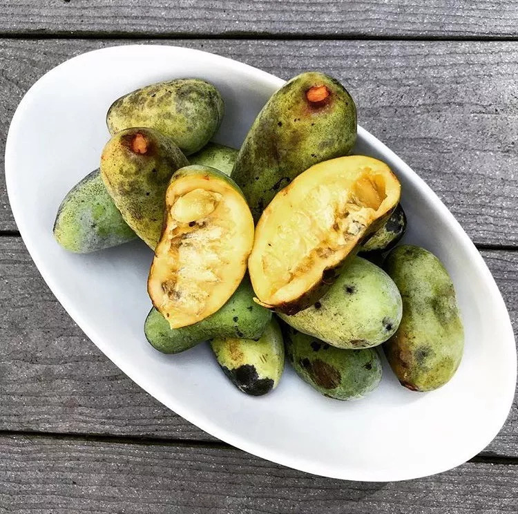 你有什么病，就泡什么脚，比吃人参还管用！（建议永久收藏）