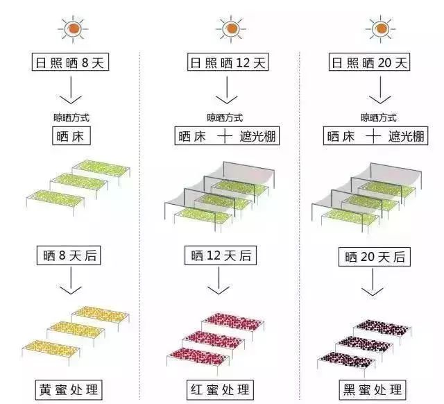 哥斯达黎加黑蜜咖啡,咖啡产区有什么区别