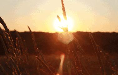 金山岭长城日出美景视频,金山岭长城元旦时看日出最佳地点