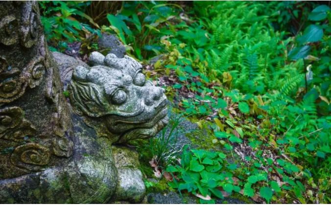 三清山游客评论,三清山评价