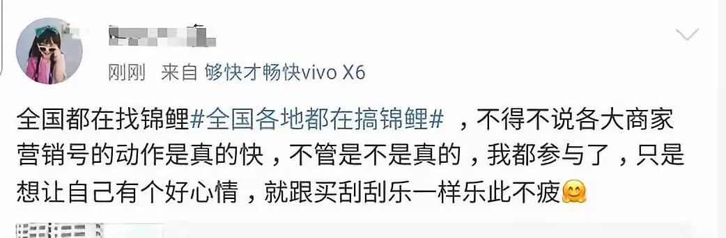 关于锦鲤的骗局有哪些,锦鲤骗局曝光至少30万人已上当