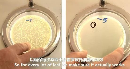 香港脚气最好的治疗方法,香港脚怎么彻底治愈