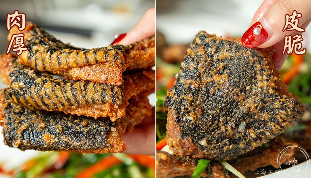 开了23年的黑料界大佬疯了！YSL、TF、Dior大牌口红免费抓！