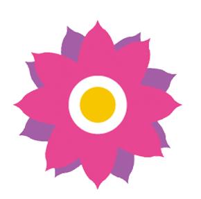 小学班级足球联赛火热开赛,石嘴山市小学校园足球联赛