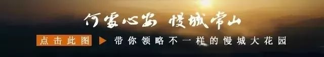 浙江衢州日报评论,衢州日报头条新闻