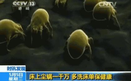老是感觉身上痒痒的是螨虫吗,总觉得身上痒有虫子爬怎么回事
