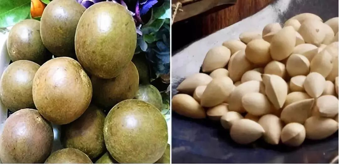 喉咙止咳化痰神器,止咳化痰治咽炎的药