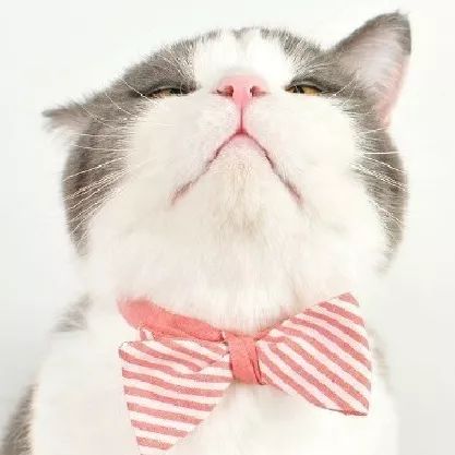 23岁女子长期点奶茶喝进icu,女孩过度饮用奶茶进icu