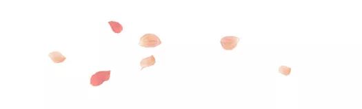 如果爱—广州十方缘11月活动回顾