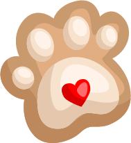 新机场启用后，流亭机场咋办？官方说法来了……