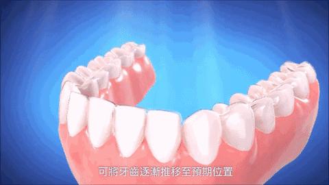 最新武汉垃圾分类消息,武汉垃圾分类怎么样了