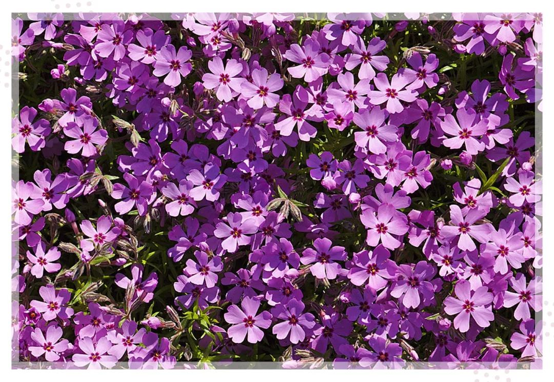 秋冬衣服省钱攻略,秋冬便宜的衣服