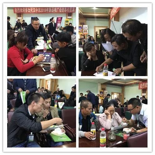 谁帮北镇葡萄打了一场翻身仗？听武汉中农经销商如是说