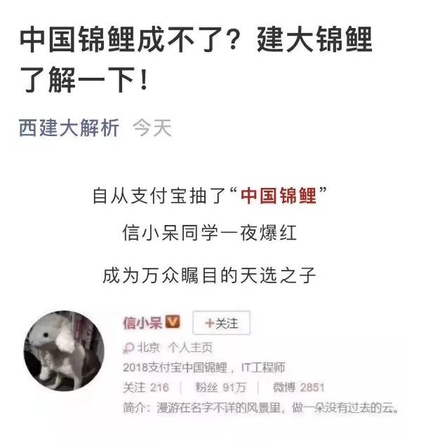 锦鲤为什么那么火,锦鲤为什么火了