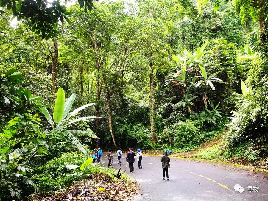 想跟博物一起外出采风？春节我们滇西见