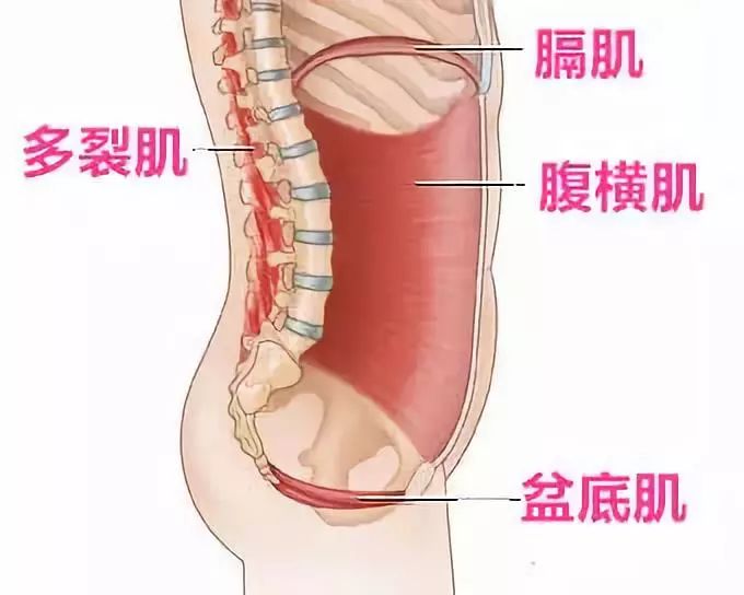 一对一服务月子中心大概多少钱,一对一服务月子中心