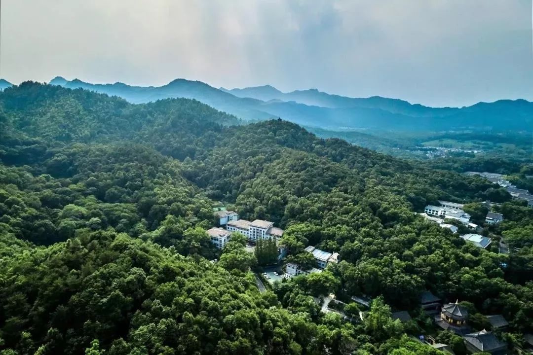 赏桂花好去处杭州,福利幸福