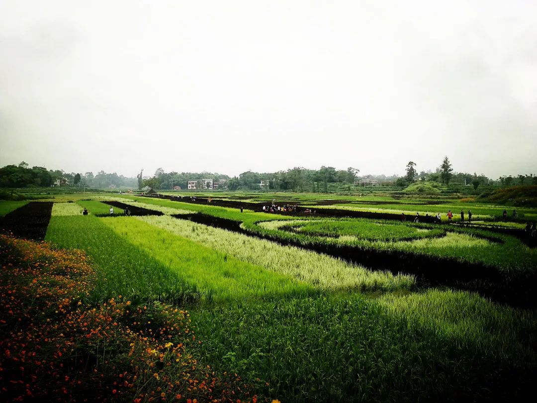 魅力中国城崇左vs大足视频,魅力中国城让你知道