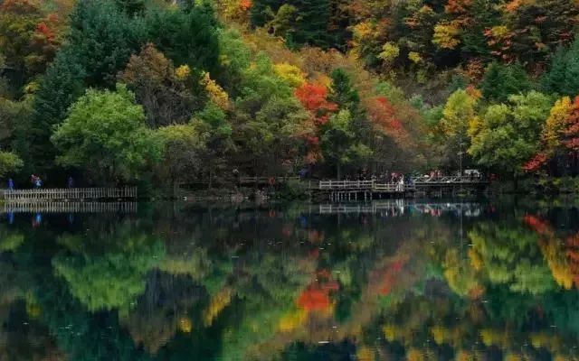 儒家思想对自然的态度,儒家的人与自然关系思想是什么