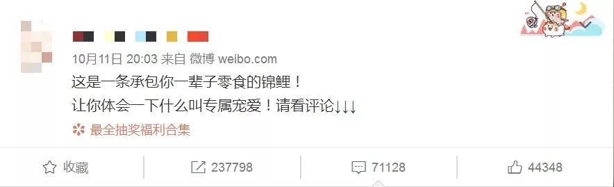 关于锦鲤的骗局有哪些,锦鲤骗局曝光至少30万人已上当