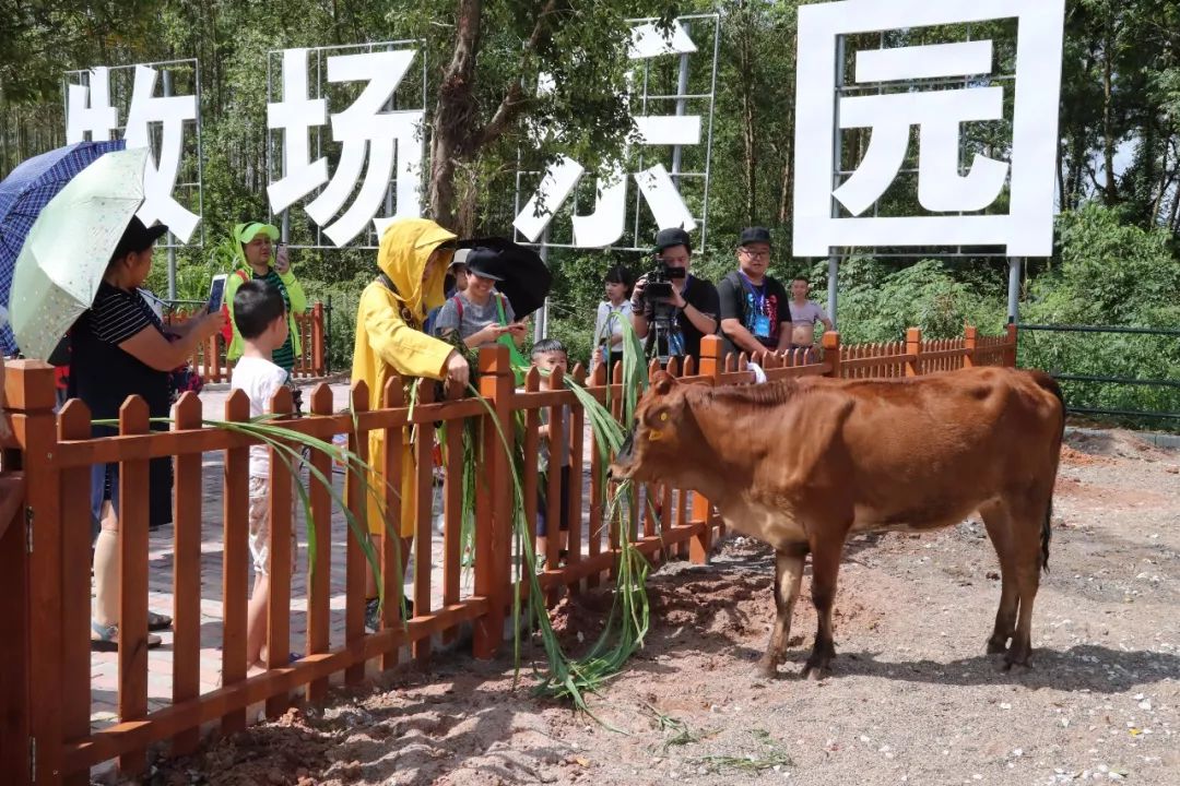 戏曲音乐节,戏剧音乐节