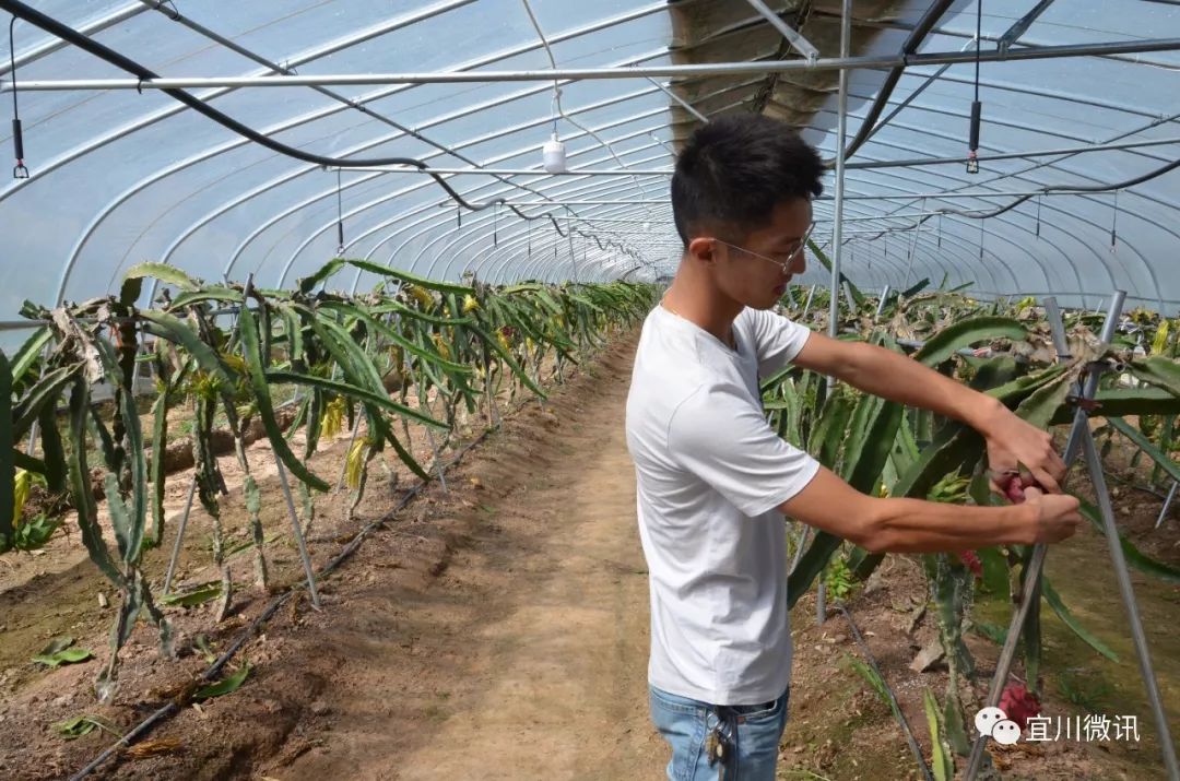 铺好致富路共同奔小康 (共同进步致富奔小康)