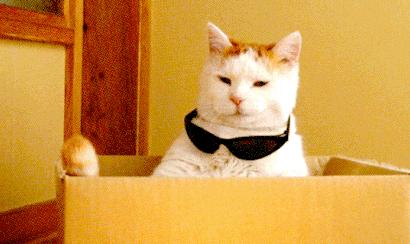 日本东京动物园一日游攻略,日本最值得去的小动物