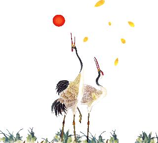 「百草园」止咳化痰温润肺气——百部(九十一)