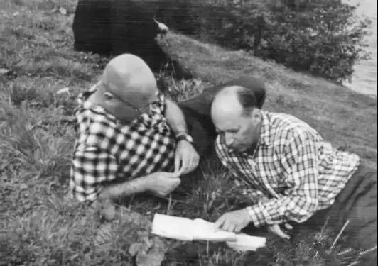 I.M.盖尔范德和他的讨论班