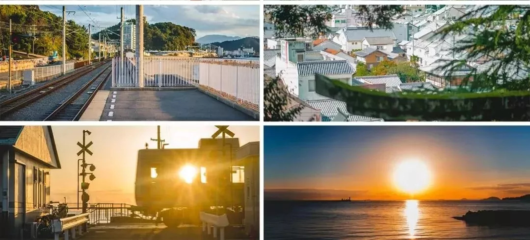 二次元追番技巧,追番的番怎么读