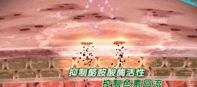 烟酰胺美白淡化精华,修正烟酰胺身体乳美白精华